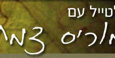 מוריס-צמח-לוגו2.gif